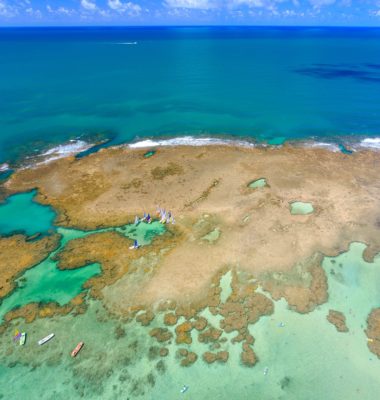 PORTO DE GALINHAS BEACH